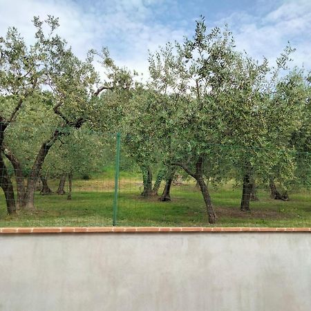 Lombardi Rita - Colle S. Martino Apartment Assisi Exterior photo