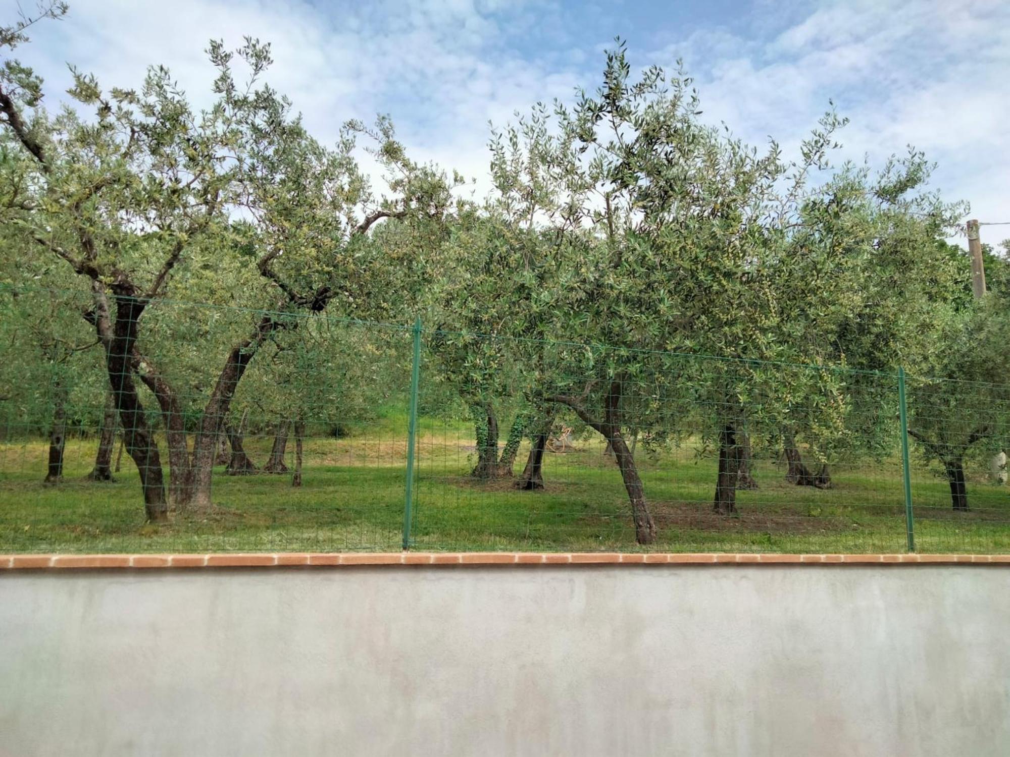 Lombardi Rita - Colle S. Martino Apartment Assisi Exterior photo